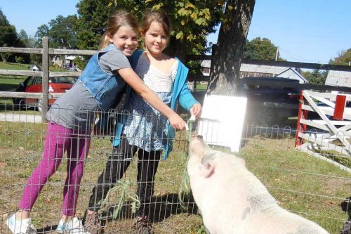 First time fair-goers Eloise and Alayna of Ferguson Falls, Ont. feed Piggy May of Westwinds Ranch